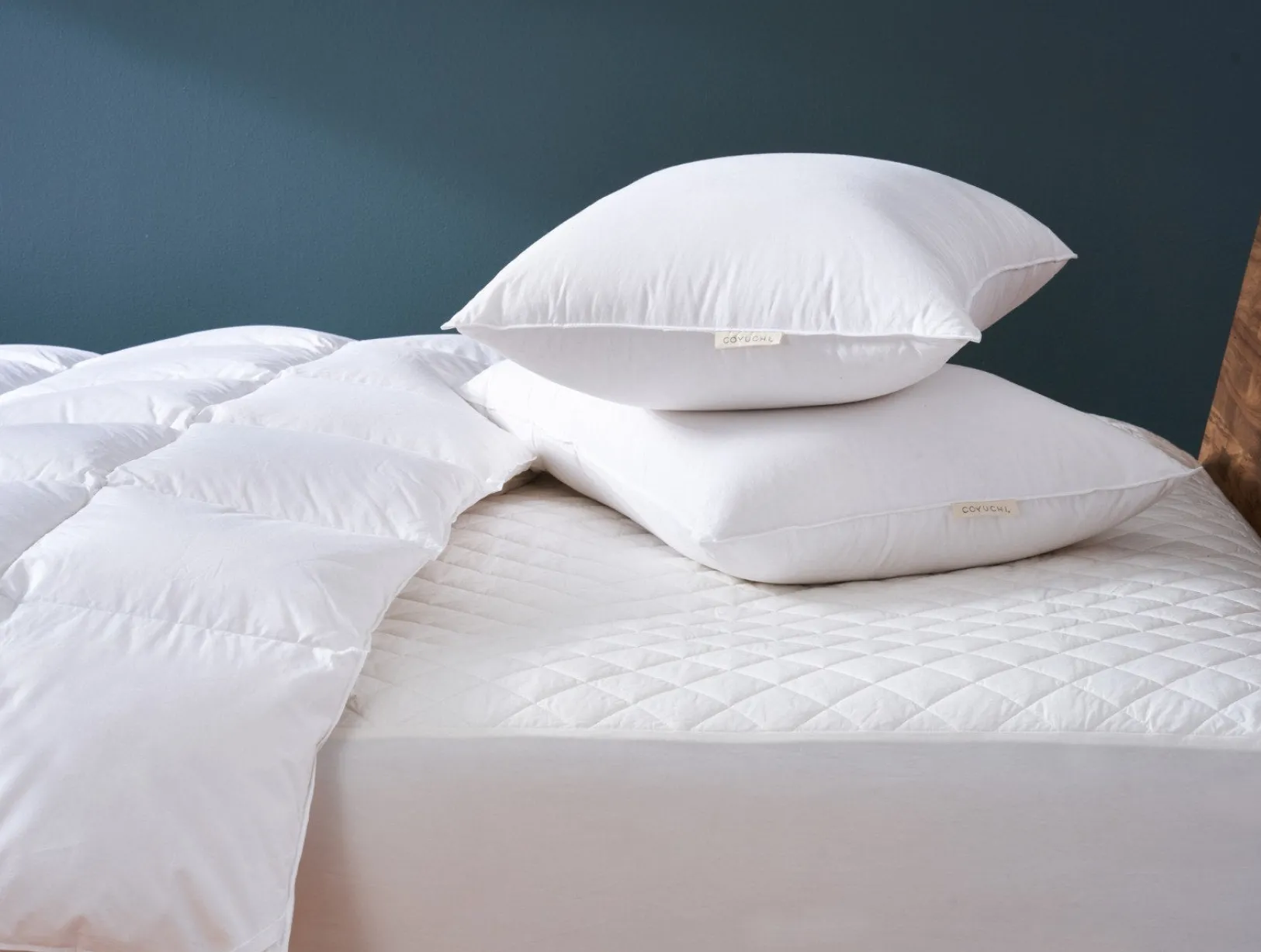 New Coyuchi Cloud Soft Organic Sateen Deluxe Bed Bundle