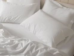 Clearance Coyuchi Cloud Soft Organic Sateen Sham