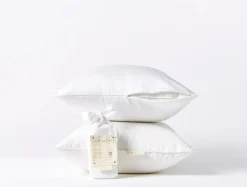 Best Coyuchi Down Feather Pillows + Organic Protectors Bundle