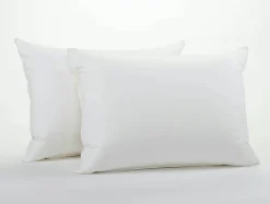 New Coyuchi Down Pillow White