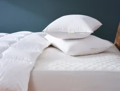 Fashion Coyuchi Down Pillow + Washable Wool Protectors Bundle