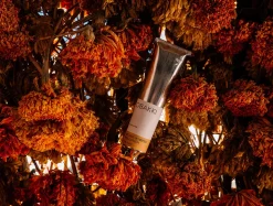 Best Coyuchi Obakki Designs Lotion Unscented Organic Whipped Shea
