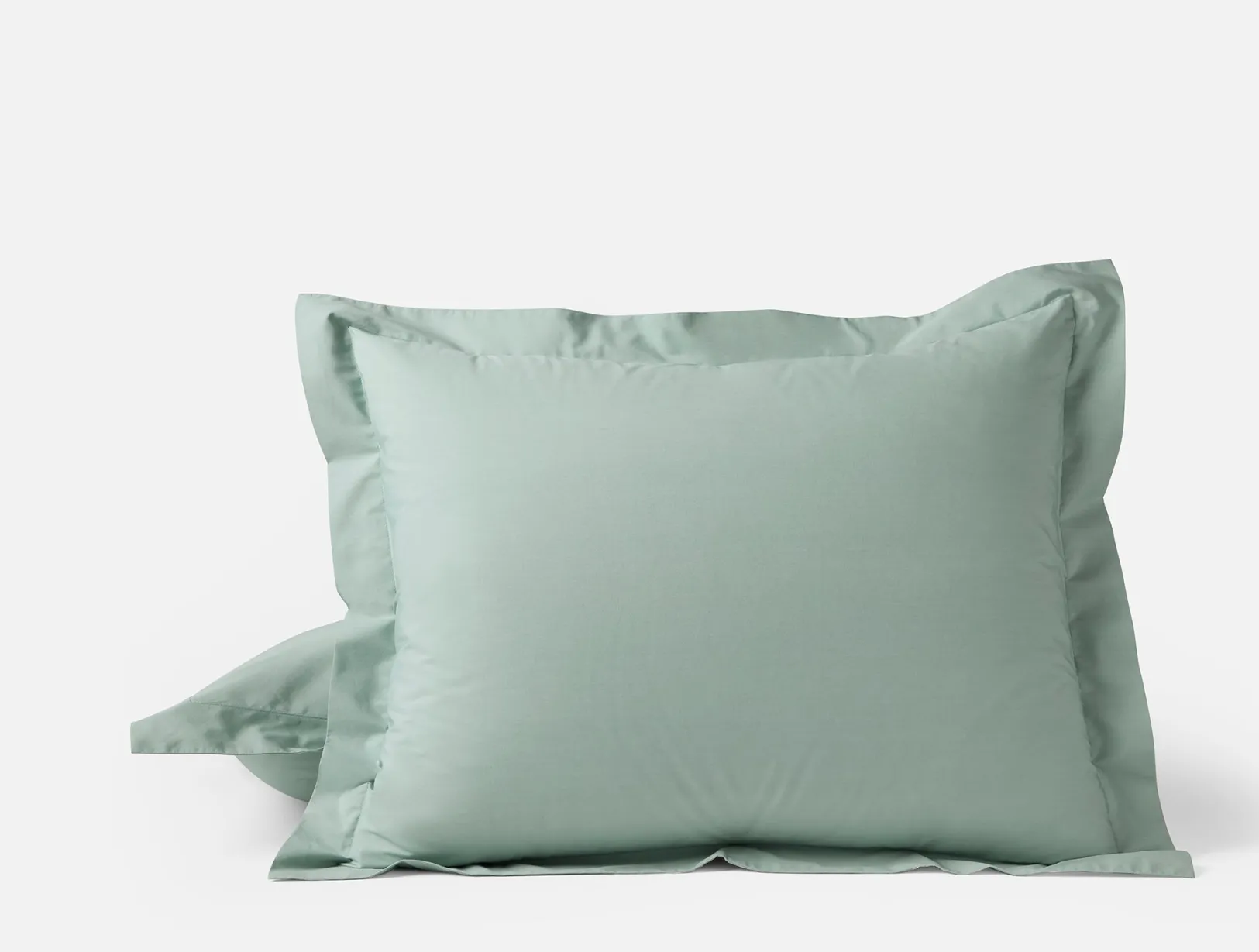 Online Coyuchi Refined Organic Percale Sham