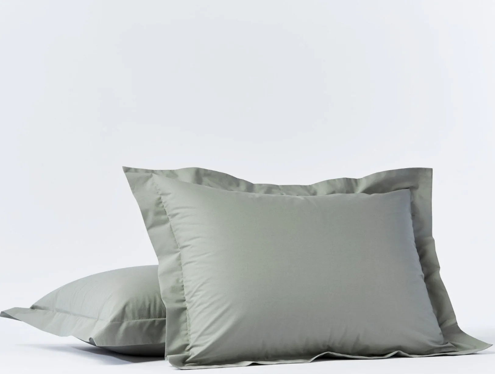 Outlet Coyuchi Refined Organic Percale Sham