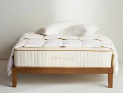 Clearance Coyuchi The Natural REM Mattress Undyed