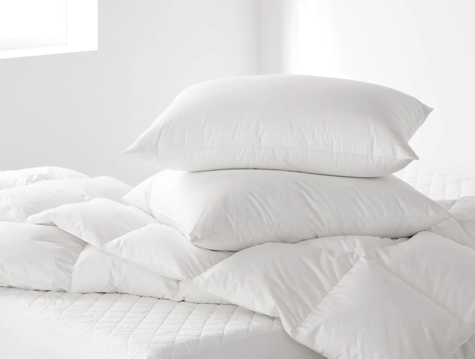 Outlet Coyuchi Three Season Down + Pillows + Protectors Bundle